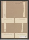 Synedra ulna var. splendens (Kuetz). Brun. (de-Toni-Nr.: Genus 66, Species 2584) Zeichnungen Sammlung Grunow Nr. 5226 (NHMW-BOT-W0373597)